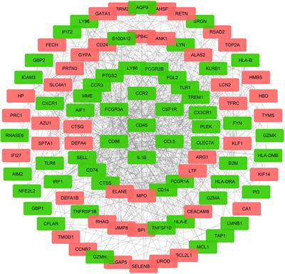 Comprehensive Analysis of Potential ceRNA Network and Different Degrees of Immune Cell Infiltration in Acute Respiratory Distress Syndrome
